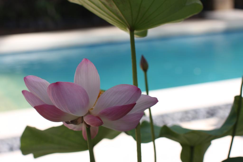 Villa Alu Lima Seminyak Chambre photo